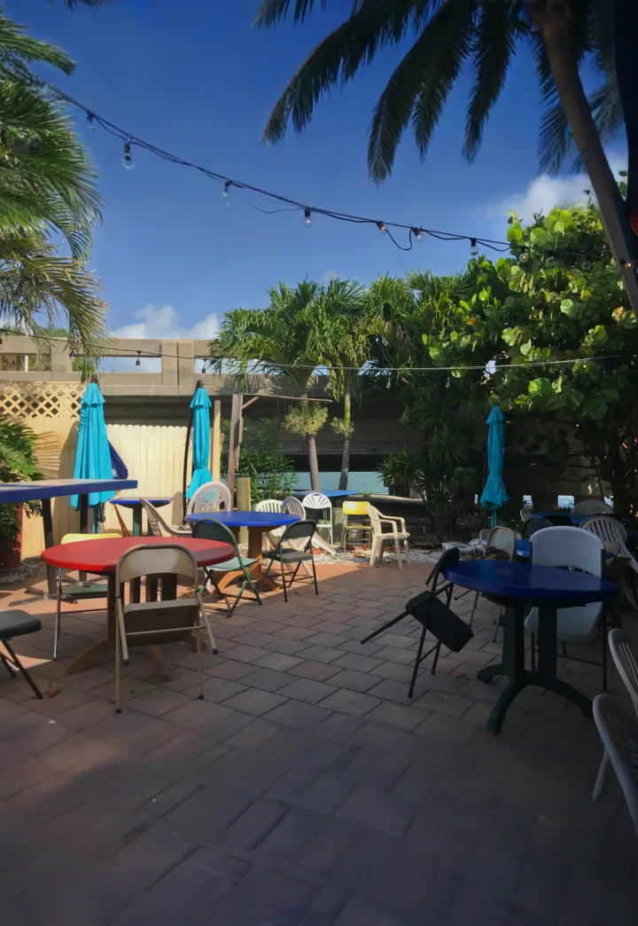 The Blue Parrott